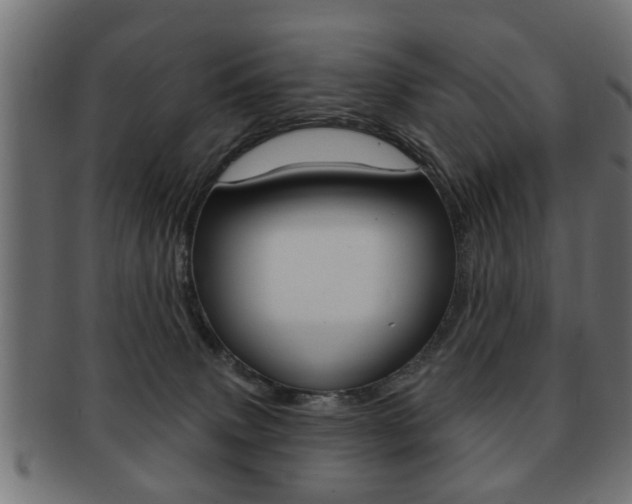 X0000091990083200709061229