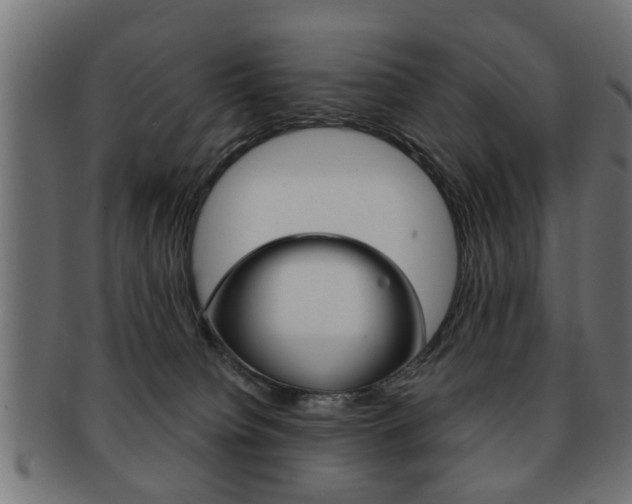 X0000091990084200709061229