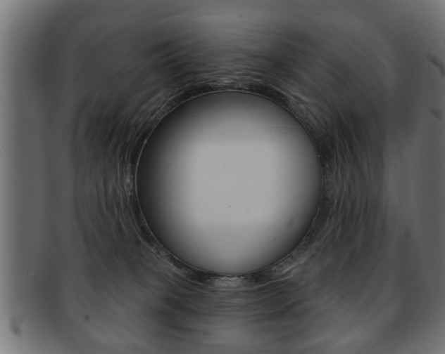 X0000091990085200709061229