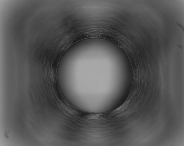 X0000091990086200709061229