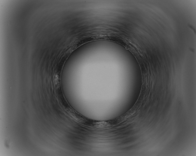 X0000091990087200709061229