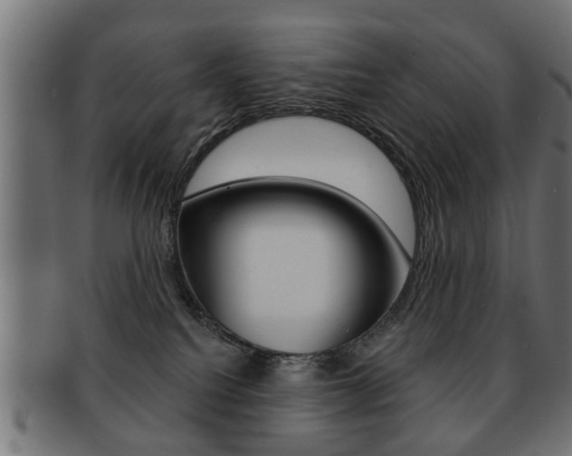 X0000091990088200709061229