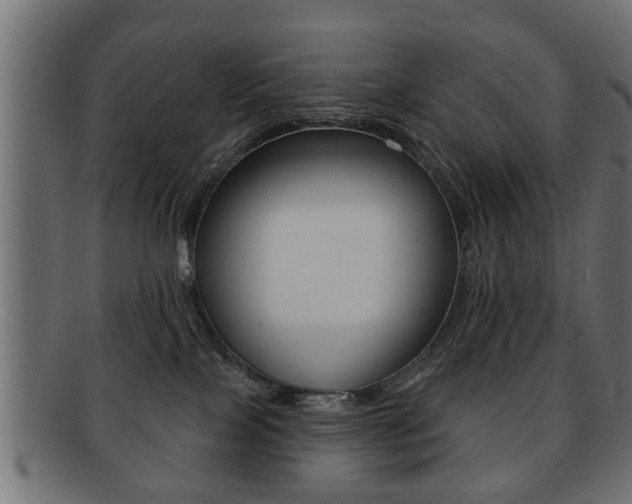 X0000091990089200709061229