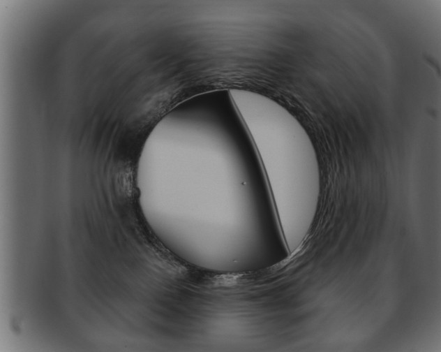 X0000091990090200709061229
