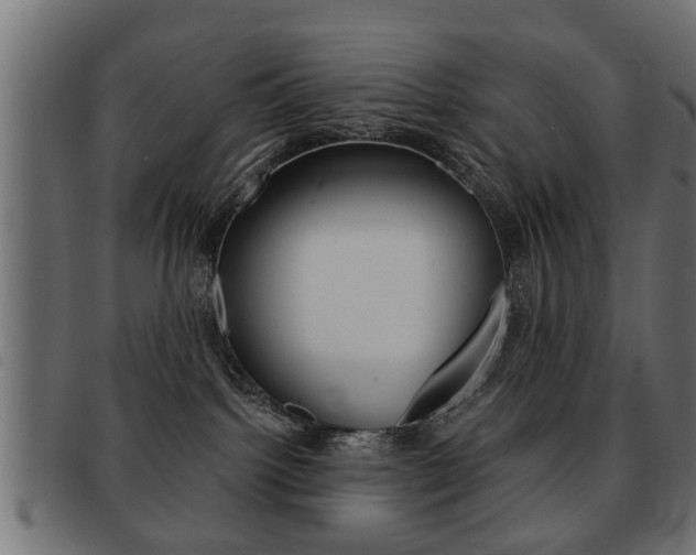 X0000091990092200709061229