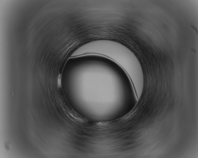 X0000091990095200709061229