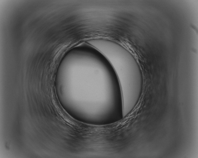 X0000091990097200709061229