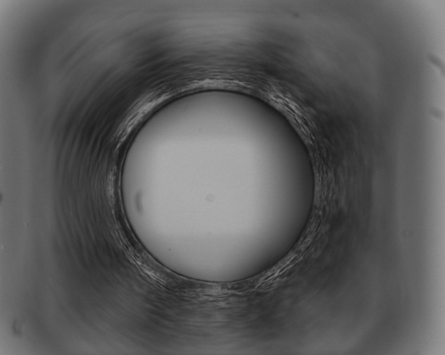 X0000091990098200709061229