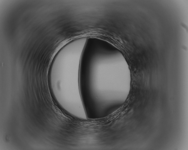 X0000091990100200709061229