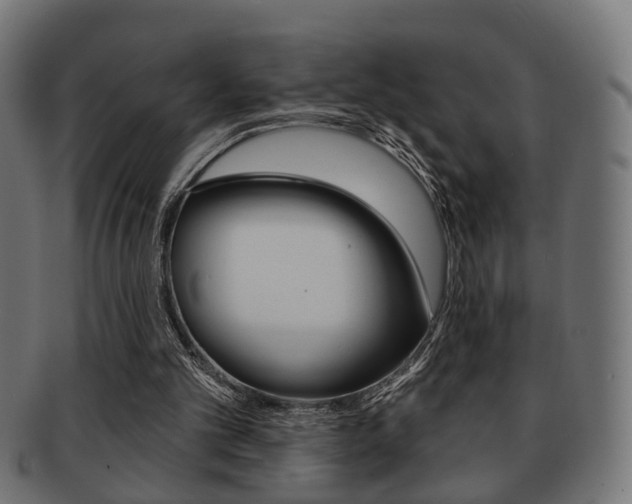 X0000091990101200709061229