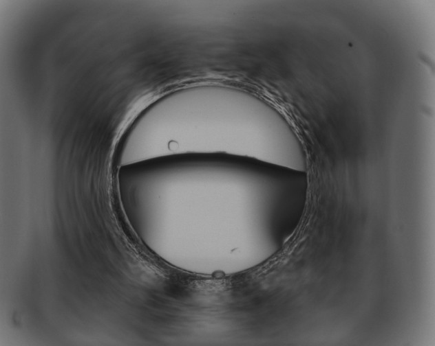 X0000091990102200709061228