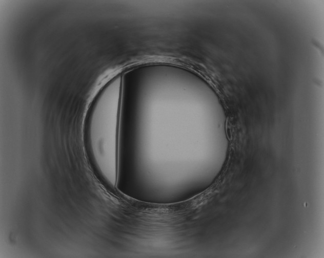 X0000091990104200709061228