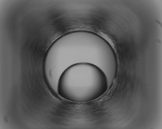X0000091990105200709061228