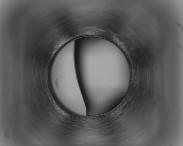 X0000091990106200709061228