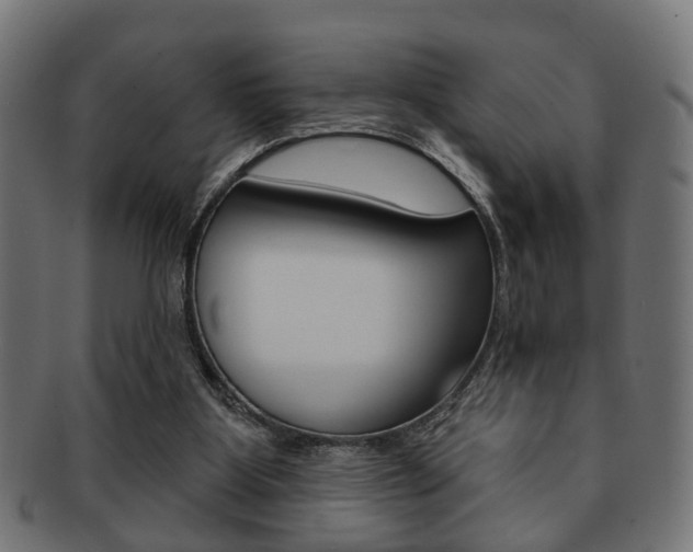 X0000091990107200709061228