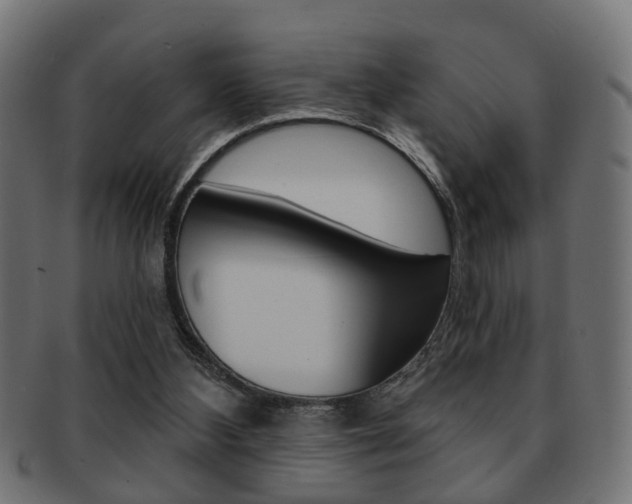 X0000091990108200709061228