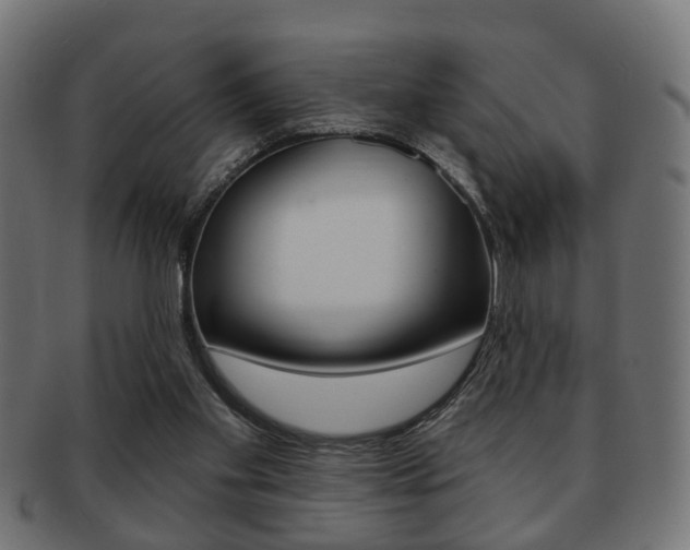 X0000091990109200709061228