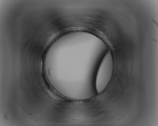 X0000091990110200709061228