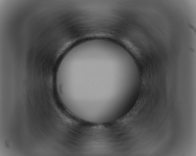X0000091990112200709061228