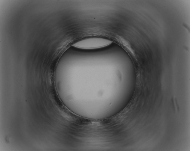 X0000091990114200709061228