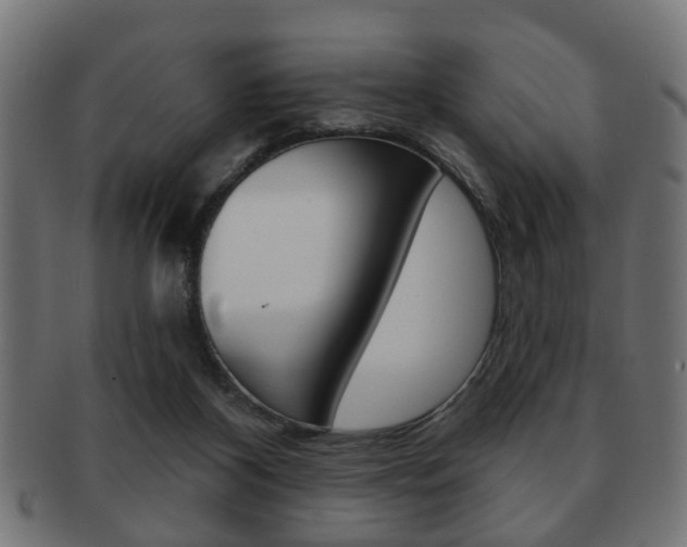 X0000091990116200709061228