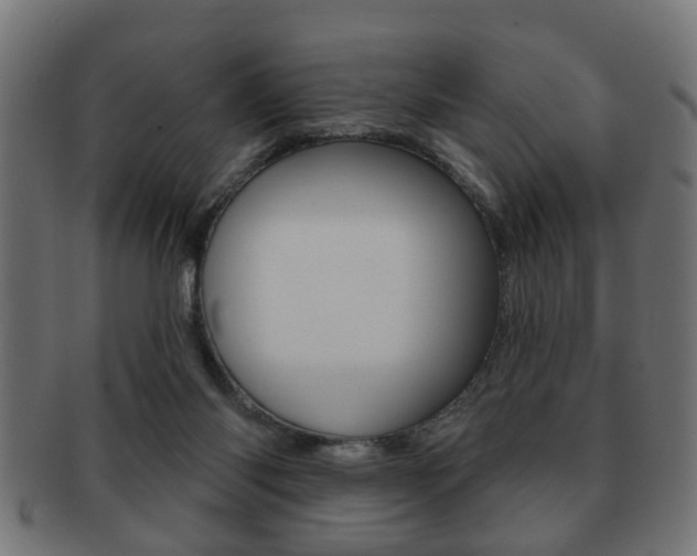 X0000091990118200709061228