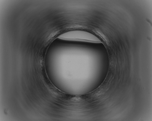X0000091990119200709061228