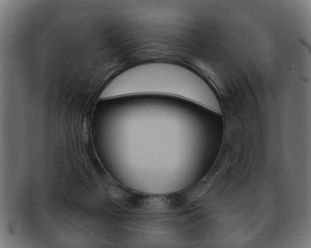 X0000091990121200709061228