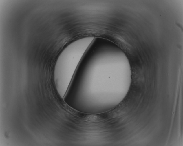 X0000091990123200709061228