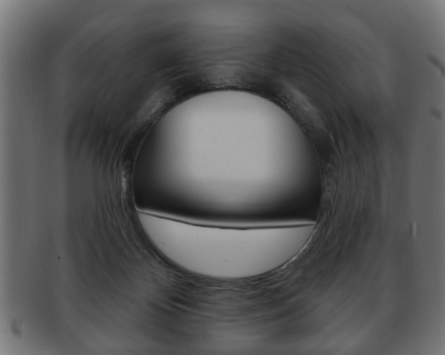 X0000091990124200709061228