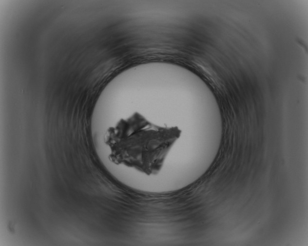 X0000091990125200709061228
