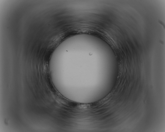 X0000091990126200709061228