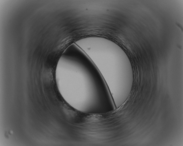 X0000091990128200709061228