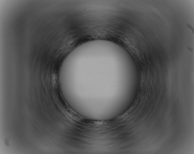 X0000091990130200709061228