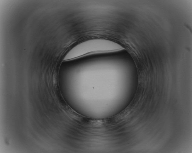 X0000091990131200709061228