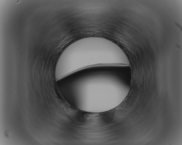 X0000091990132200709061228