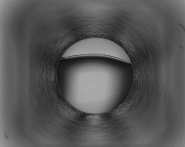 X0000091990133200709061228