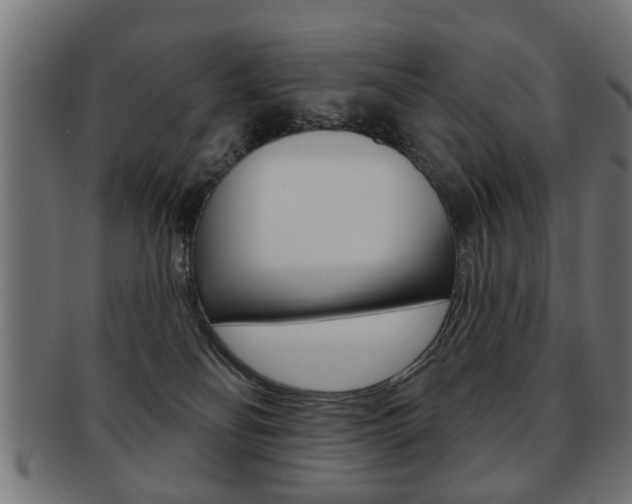 X0000091990134200709061228