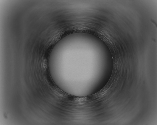 X0000091990135200709061228