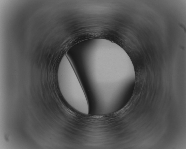 X0000091990136200709061228