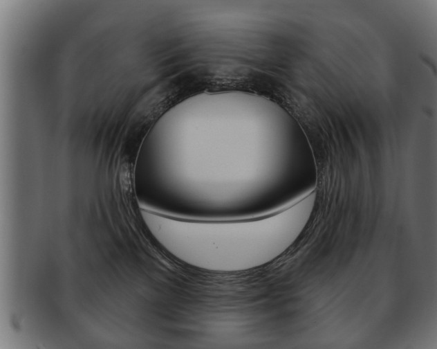 X0000091990137200709061228