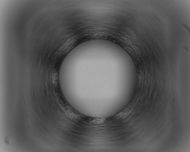 X0000091990138200709061228
