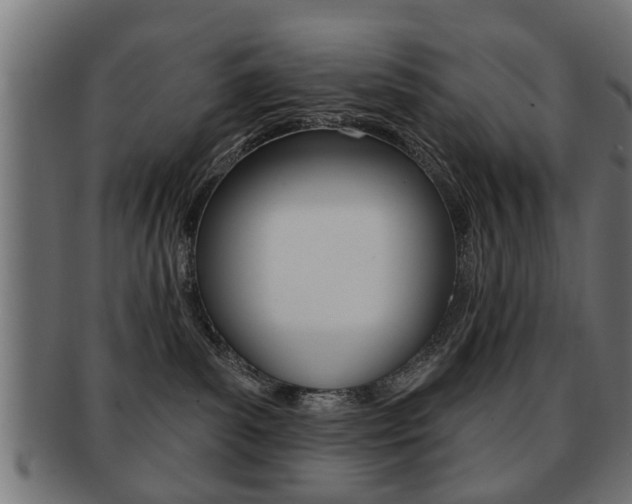 X0000091990139200709061228