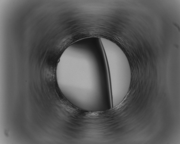 X0000091990140200709061228