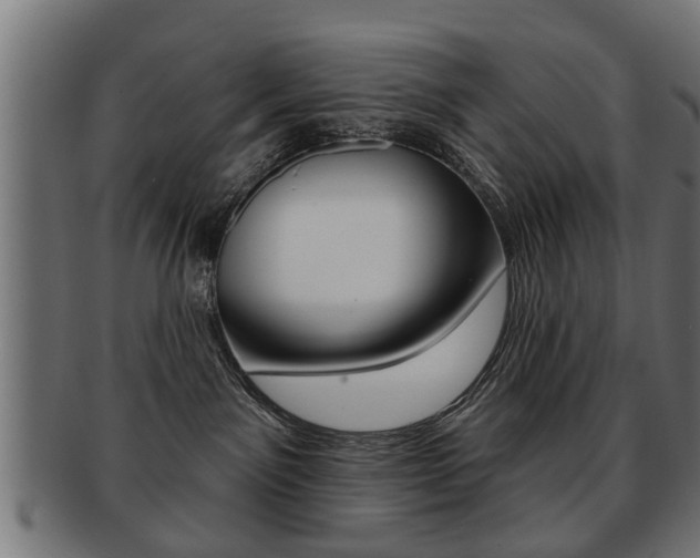 X0000091990141200709061228