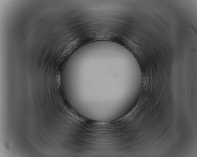 X0000091990142200709061228