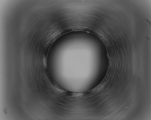 X0000091990143200709061228