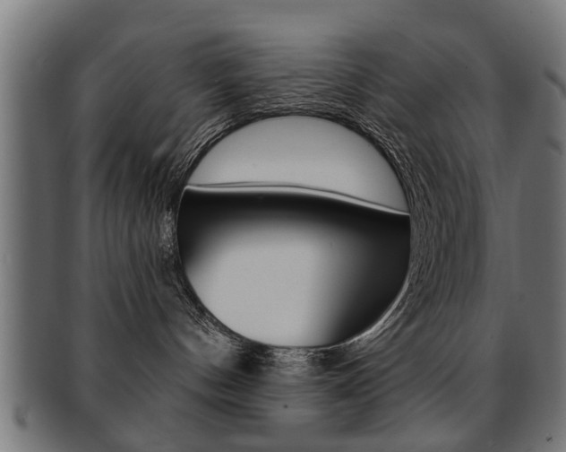 X0000091990144200709061228