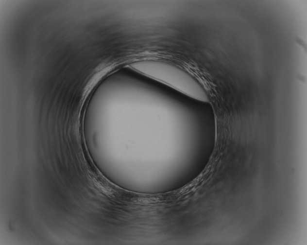 X0000091990147200709061227