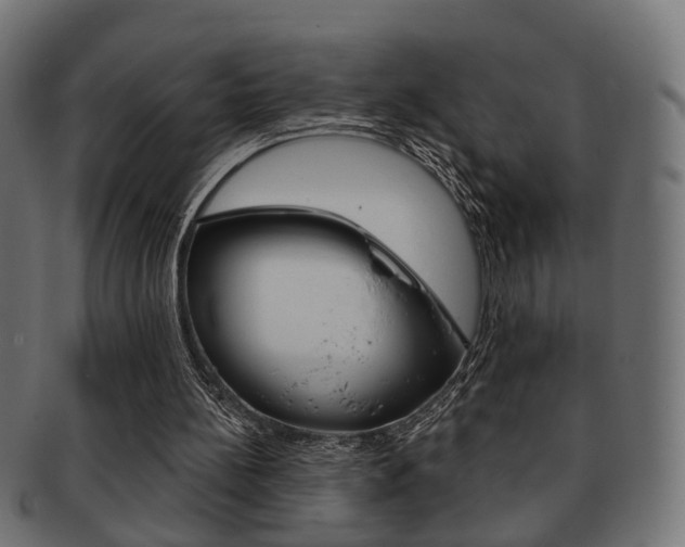 X0000091990148200709061227